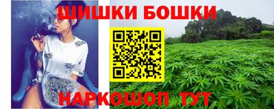 индика Наро-Фоминск