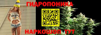 индика Наро-Фоминск