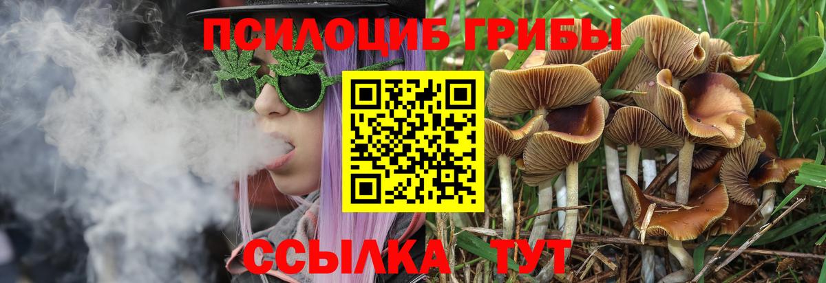 Псилоцибиновые грибы GOLDEN TEACHER  Вход с VPN  Чапаевск 